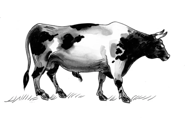 大的站立公牛 墨水和水彩画 — 图库照片