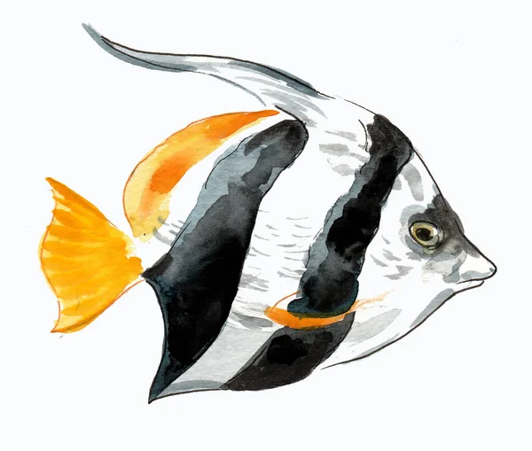 Ikan Karang Tropis Gambar Tinta Dan Cat Air — Stok Foto