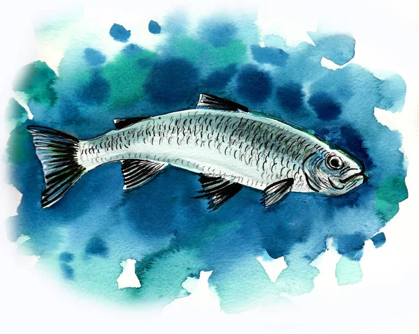 Ikan Trout Dalam Air Gambar Tinta Dan Cat Air — Stok Foto