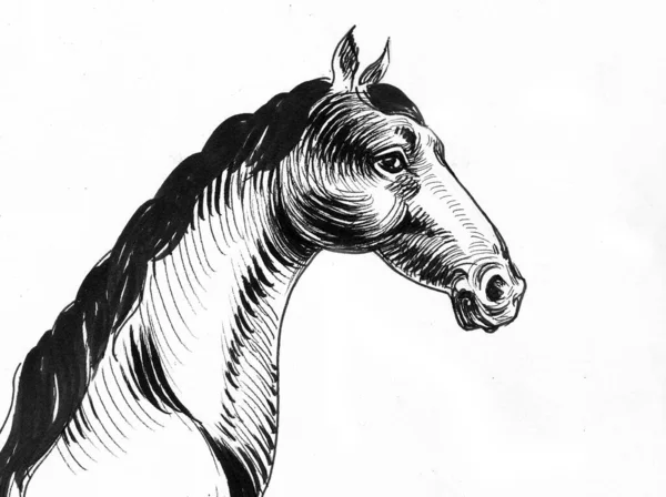 Cabeza Caballo Dibujo Blanco Negro Tinta —  Fotos de Stock