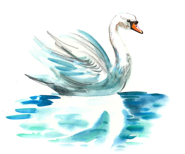 Pássaro Cisne Branco Nadando Desenho Tinta Aquarela — Fotografia de Stock