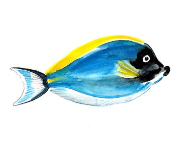 Tropik mercan balığı. Mürekkep ve suluboya çizim