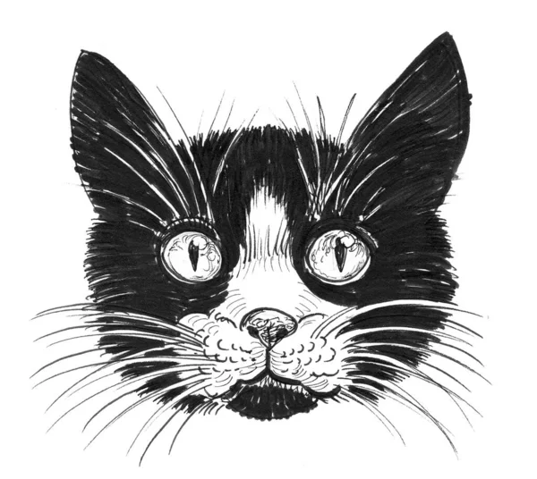 Kedi Kafası Mürekkep Siyah Beyaz Çizim — Stok fotoğraf