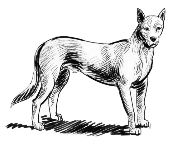 Στέκεται Σκυλί Μελάνι Ασπρόμαυρο Σχέδιο — Φωτογραφία Αρχείου
