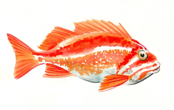산호초 물고기 잉크와 스케치 — 스톡 사진