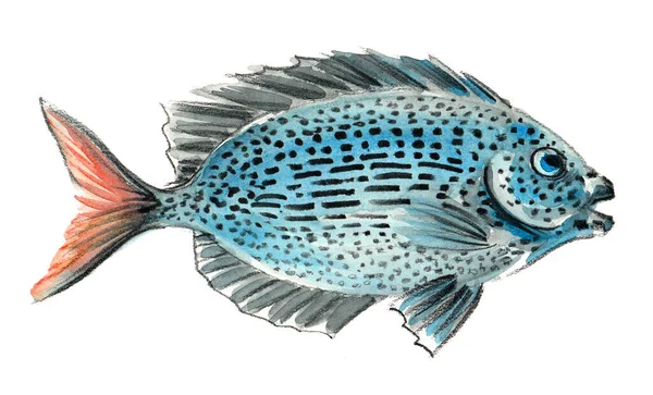 Tropické Korálové Ryby Kresba Inkoustem Akvarelem — Stock fotografie