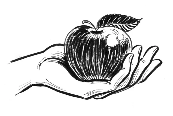 Ruka Drží Jablko Černobílá Kresba Inkoustu — Stock fotografie