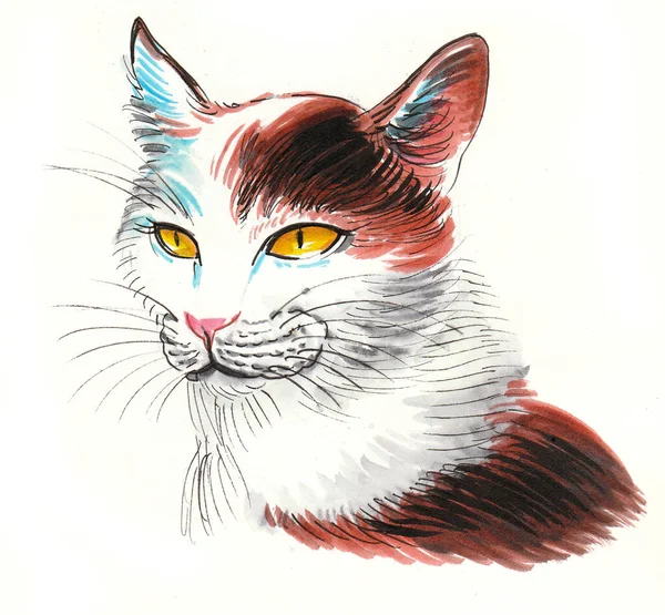 Gato Con Ojos Amarillos Dibujo Tinta Acuarela — Foto de Stock