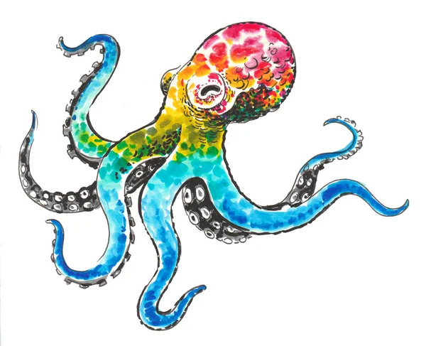 Regenboog Gekleurde Octopus Inkt Aquareltekening — Stockfoto