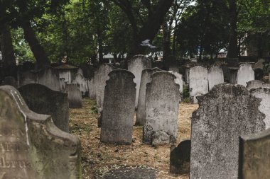 Londra 'nın merkezindeki eski bir mezarlık olan Bunhill Fields' da mezar taşları. Mezar taşı, mezar taşı ya da mezar taşı, genellikle bir mezar taşının üzerine yerleştirilen bir taş ya da işarettir.