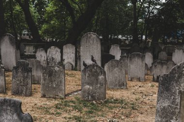 Londra 'nın merkezindeki eski bir mezarlık olan Bunhill Fields' da mezar taşları. Mezar taşı, mezar taşı ya da mezar taşı, genellikle bir mezar taşının üzerine yerleştirilen bir taş ya da işarettir.