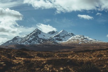 Bir kadının elleri kafede oturmuş kırmızı balık bifteği ve patates püresi yiyor ve beyaz tabakta sebze yiyor.