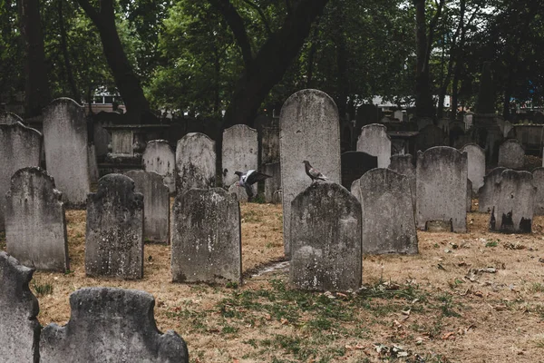 Nagrobki Bunhill Fields Dawnym Cmentarzu Centrum Londynu Nagrobek Nagrobek Lub — Zdjęcie stockowe