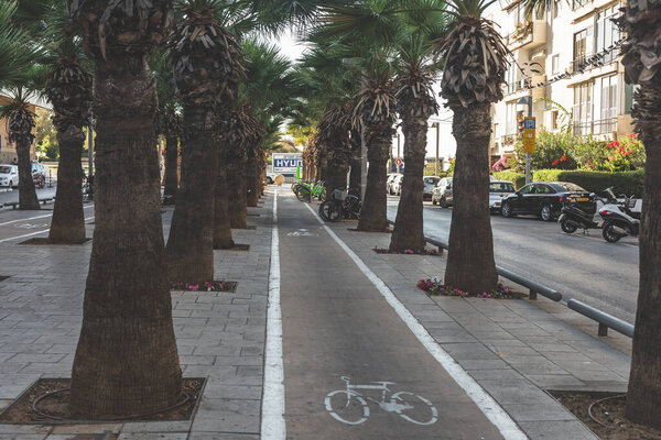 Tel Aviv / Israel-12 / 10 / 18: bike lane along the alley with the lines of palm trees on the Sderot Nordau Street in Tel Aviv, Israel
