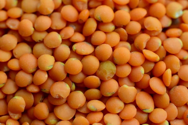 Useful grains red lentils/Close-up of grains of red lentils. Bean culture. Groats are very healthy.
