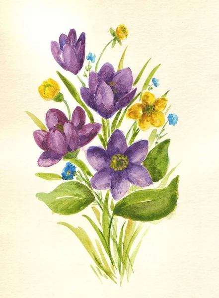 Bouquet von Frühling Aquarell Wildblumen — Stockfoto