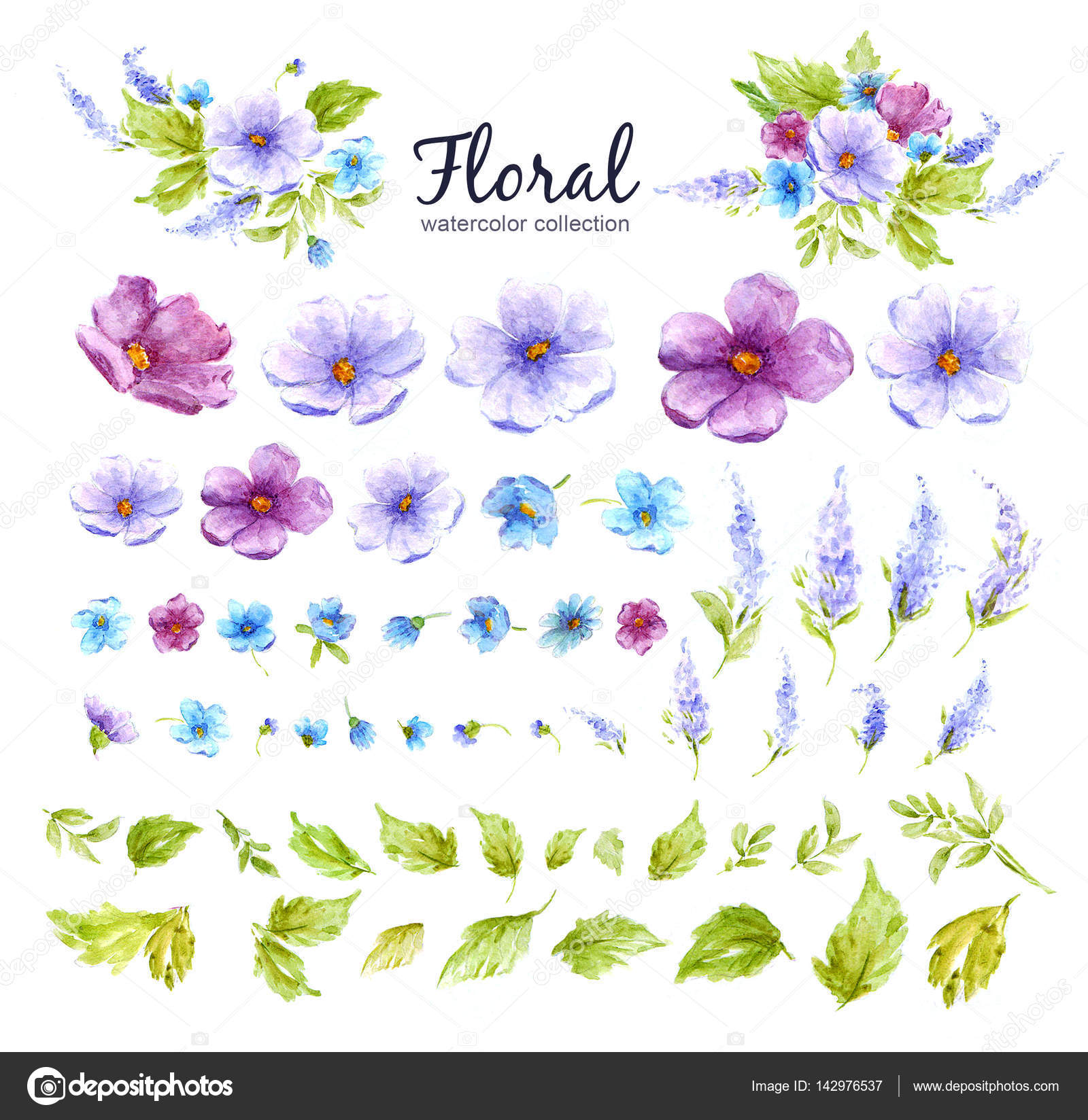 Watercolor floral collection with flower arrangements of flowers