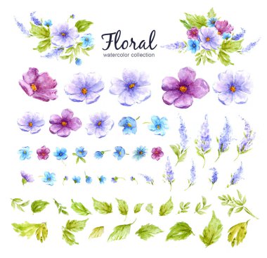 Çiçekler, yapraklar, dallar ve çiçek tomurcukları çiçek aranjmanları suluboya çiçek koleksiyonu.