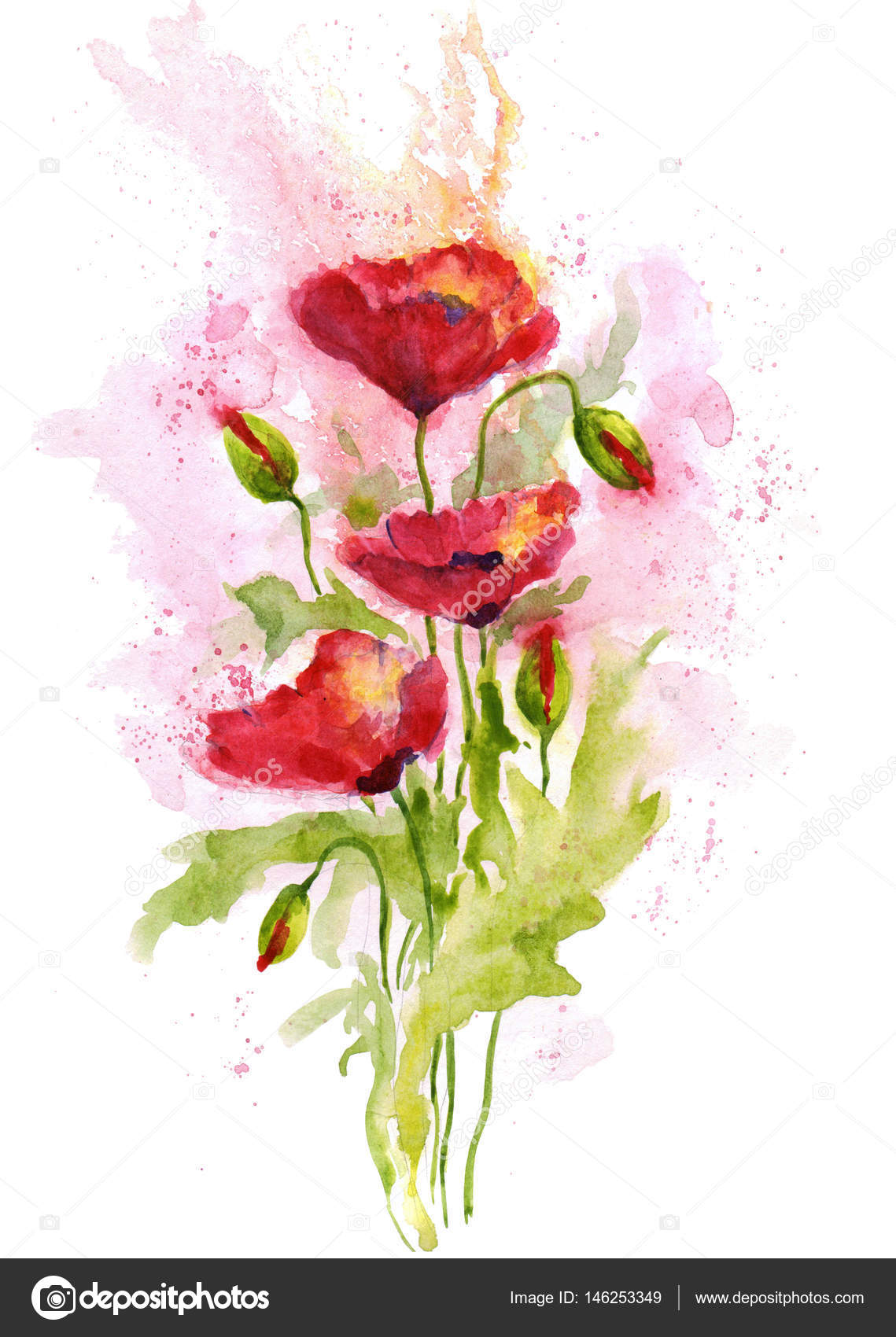 白い背景の花束赤いポピーの花 水彩イラスト ストック写真 C Natalypaint