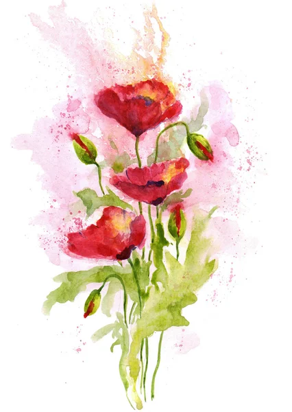 Strauß rote Mohnblumen auf weißem Hintergrund. Aquarellillustration. — Stockfoto