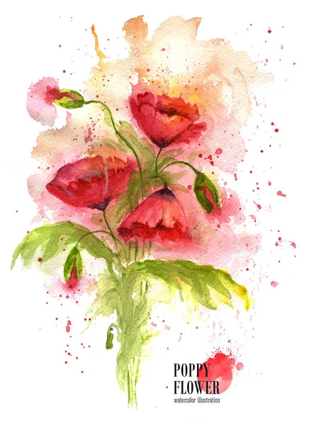 Bukett röda vallmo blommor på vit bakgrund. Akvarell illustration. — Stockfoto