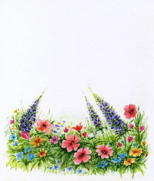Gräsmatta med blommor på vit bakgrund. Akvarell blommig bakgrund — Stockfoto