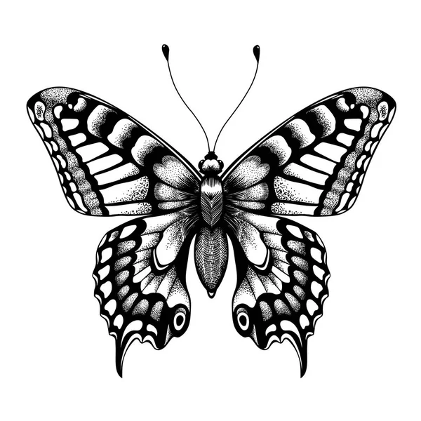 Silhueta de borboleta. Borboleta de tatuagem. Desenho vetorial isolado da borboleta — Vetor de Stock