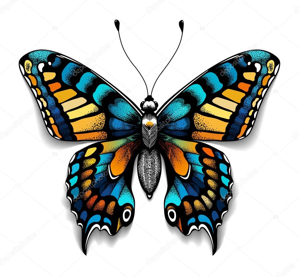 Bastoncini Per Piante 24 PEZZI FARFALLE Da Giardino Colorato Libellule  Terrazza Ali Fata, image size:1024x948