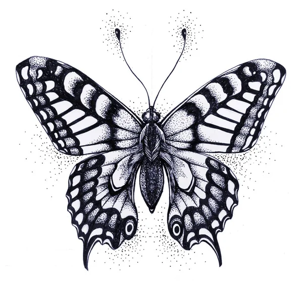 Silueta motýla. Symbol duše, nesmrtelnost, znovuzrození a vzkříšení. Černobílé tetování — Stock fotografie