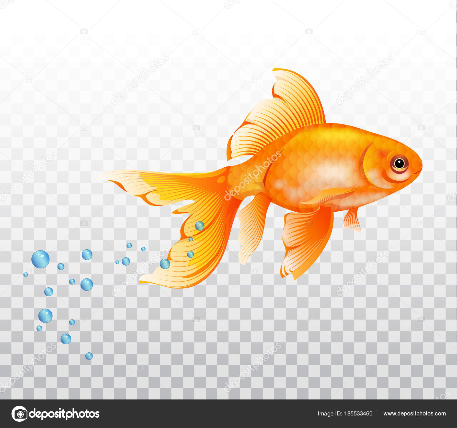動物画像のすべて ベストリアル かっこいい 金魚 イラスト 動物画像のすべて ベストリアル かっこいい 金魚 イラスト