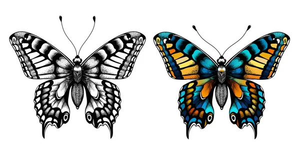 Zwei Schmetterlinge. Kinder Malseite. — Stockvektor