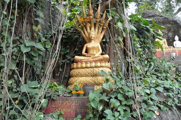 Most Nad Rzeką Nam Song Laos — Zdjęcie stockowe