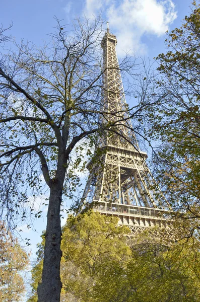 Torre Eiffel Ritratto tra gli alberi — Foto Stock