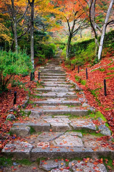 Tangga di musim gugur, Kuil Jojakkoji, Arashiyama, Kyoto, Jepang — Stok Foto