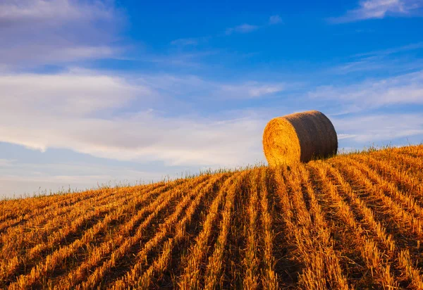 Hay bales on the field at sunset, Tuscany, Italy — Stock Photo, Image