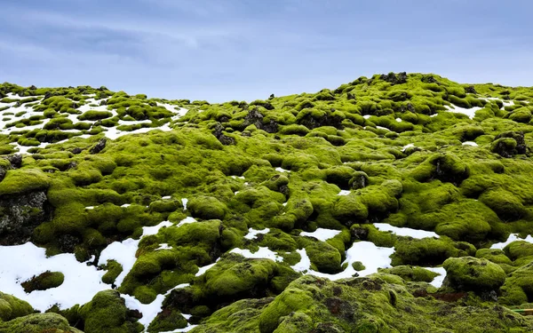 Campos de lava Eldhraun cubiertos de musgo, al sur de Islandia — Foto de Stock