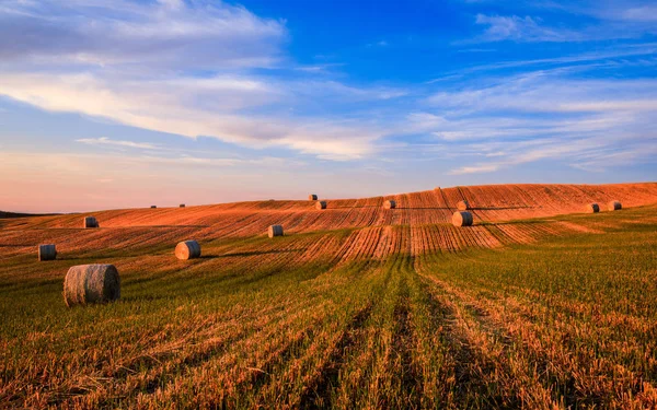 Hay bales on the field at sunset, Tuscany, Italy — Stock Photo, Image