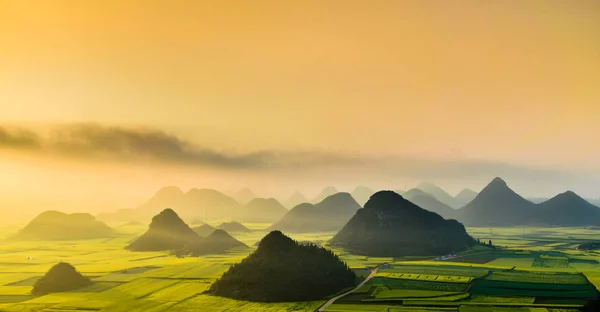 Campo de flores de colza amarilla (canola) en primavera, Luoping, China —  Fotos de Stock