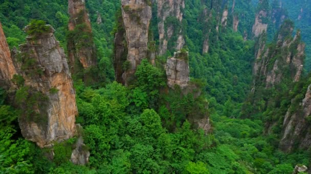 Vista Inclinada Hacia Arriba Del Parque Forestal Nacional Zhangjiajie Wulingyuan — Vídeos de Stock