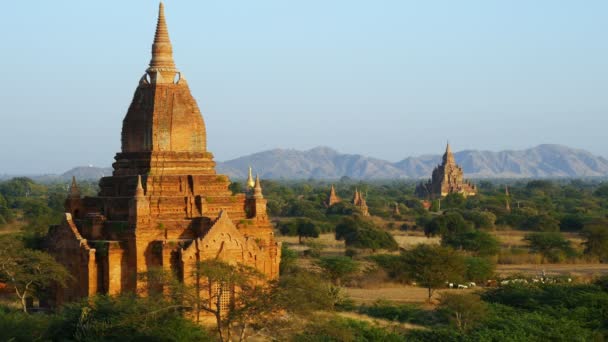 Temple Bagan Sunrise Bagan Myanmar — стоковое видео