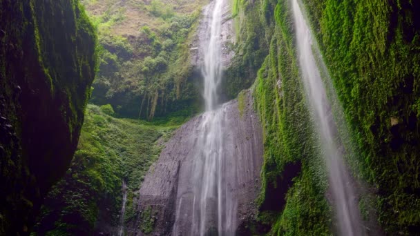 Wodospad Madakaripura Jawa Wschodnia Indonezja — Wideo stockowe