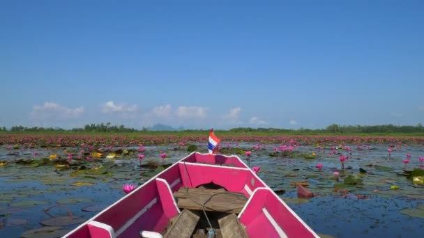 Viagem Barco Mar Lótus Vermelho Phatthalung Tailândia — Vídeo de Stock