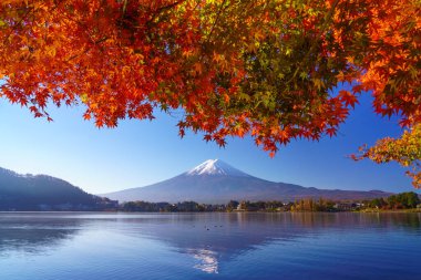 Sonbaharda kırmızı akçaağaçlı Fuji Dağı, Kawaguchiko Gölü, Japonya