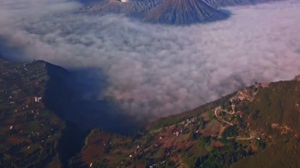 Luchtfoto Drone Vlucht Naar Voren Kantel Bromo Vulkaan Bij Zonsopgang — Stockvideo