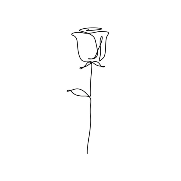 Continuous uma linha rosa flor, minimalismo. ilustração vetorial . —  Vetores de Stock