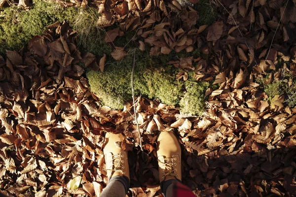 Botas Caminhada Amarelas Folhas Caídas — Fotografia de Stock