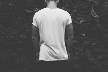 bir boş gri t-shirt bitki duvar arka planı poz içinde kas hipster adam 