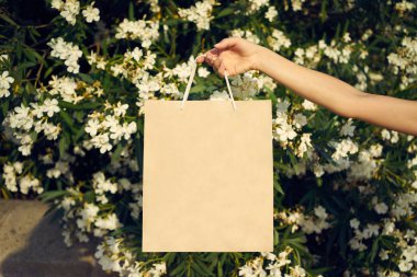 Kağıt alışveriş çantası karşı çiçek açan çiçekler tutan el