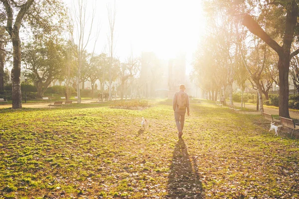 Young Man Walking Dogs Park Sunset — Stock Photo, Image