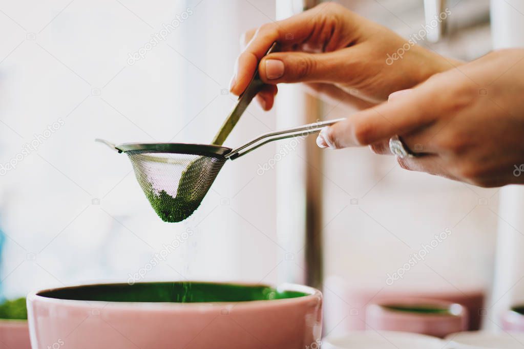 Side view photo of woman's hands holding a spoon and a strainer while sieving a green matcha powder during tea ceremony. Closeup photo of preparing traditional matcha tea process in asian coffee shop.
